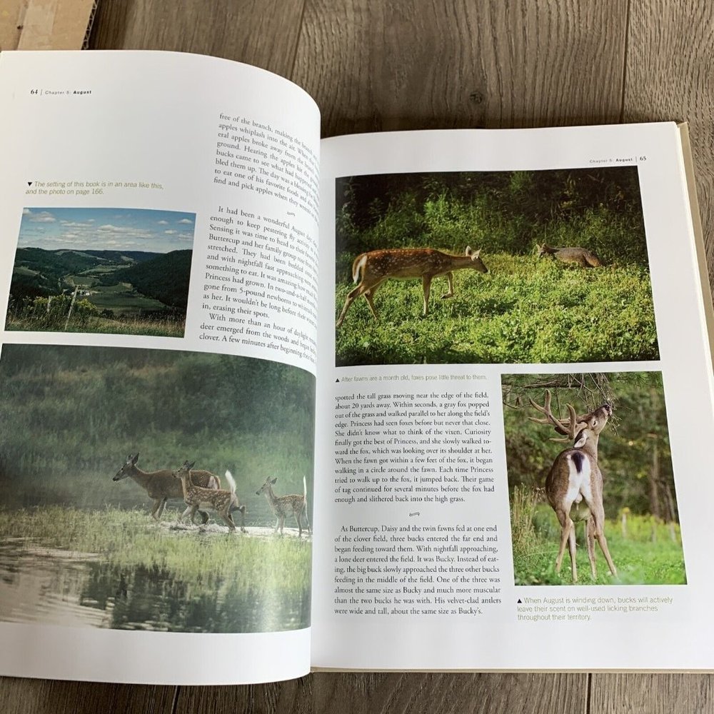 Whitetails by Charles Alsheimer & Another Look Life Deer Stand by Steve Chapman - Picture 12 of 16